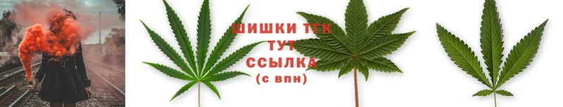 Бошки марихуана OG Kush  закладки  Братск 